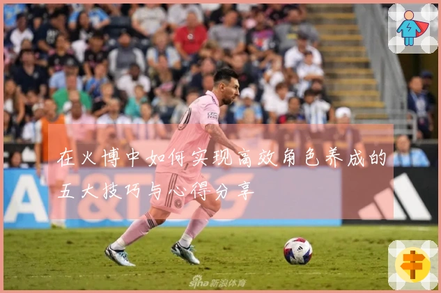 在火博中如何实现高效角色养成的五大技巧与心得分享