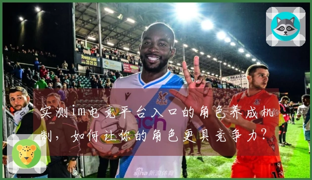 实测im电竞平台入口的角色养成机制，如何让你的角色更具竞争力？