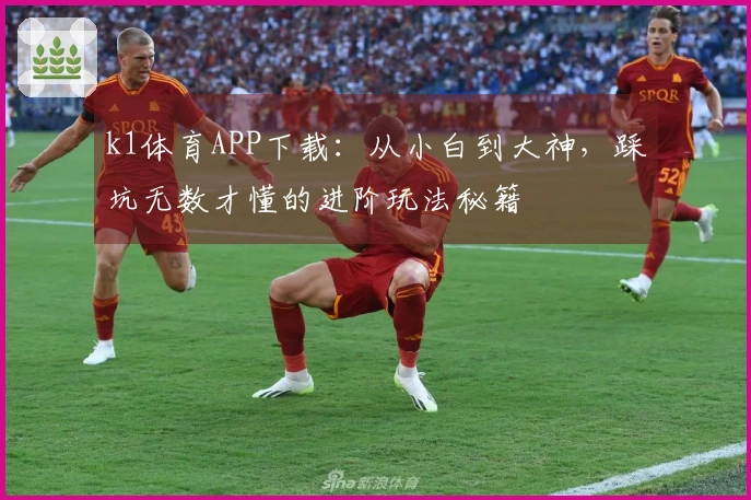 k1体育APP下载：从小白到大神，踩坑无数才懂的进阶玩法秘籍