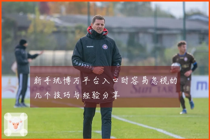 新手玩博万平台入口时容易忽视的几个技巧与经验分享