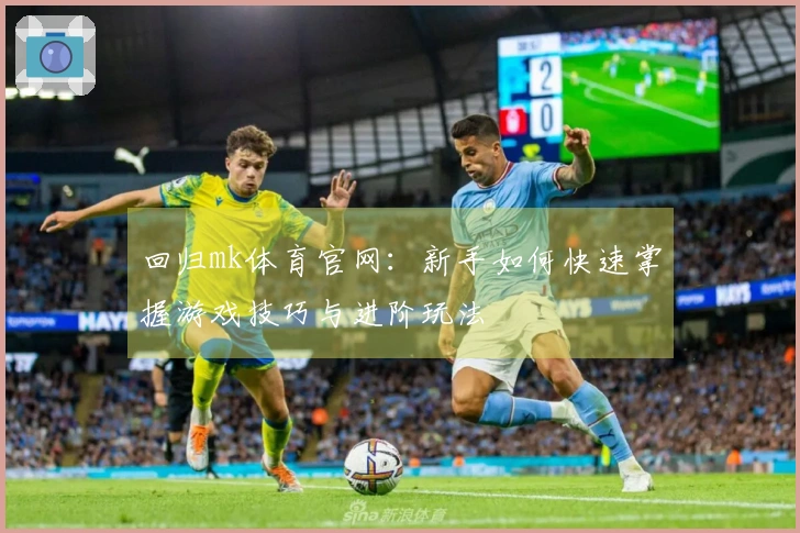 回归mk体育官网：新手如何快速掌握游戏技巧与进阶玩法